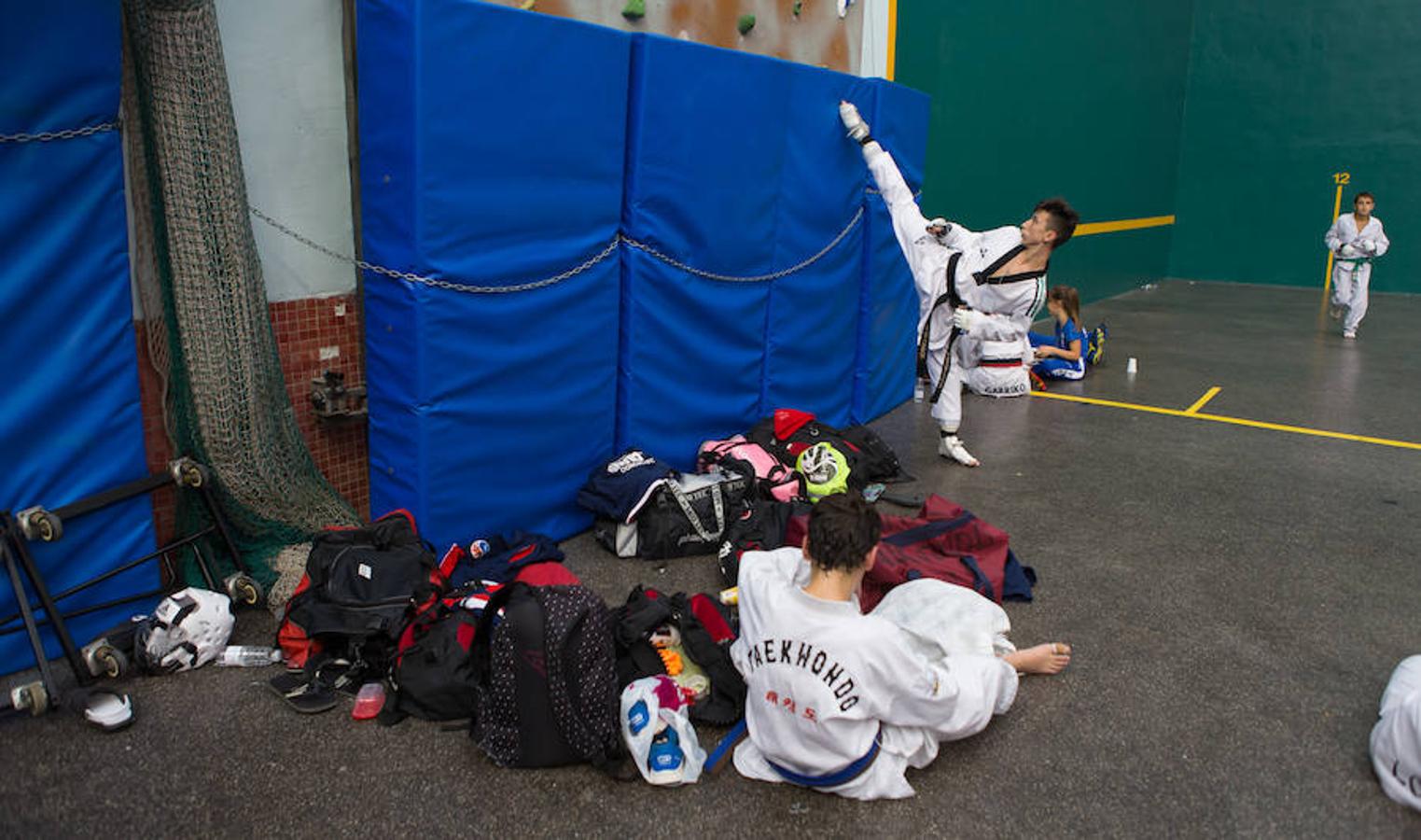 Torneo de la Vendimia de taekwondo