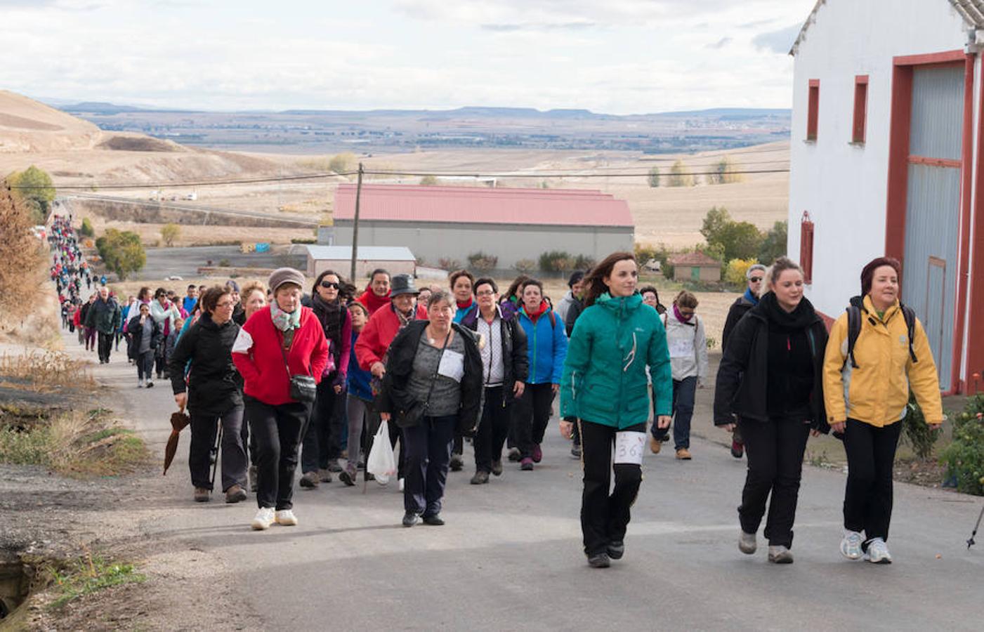 Paseo contra el cáncer