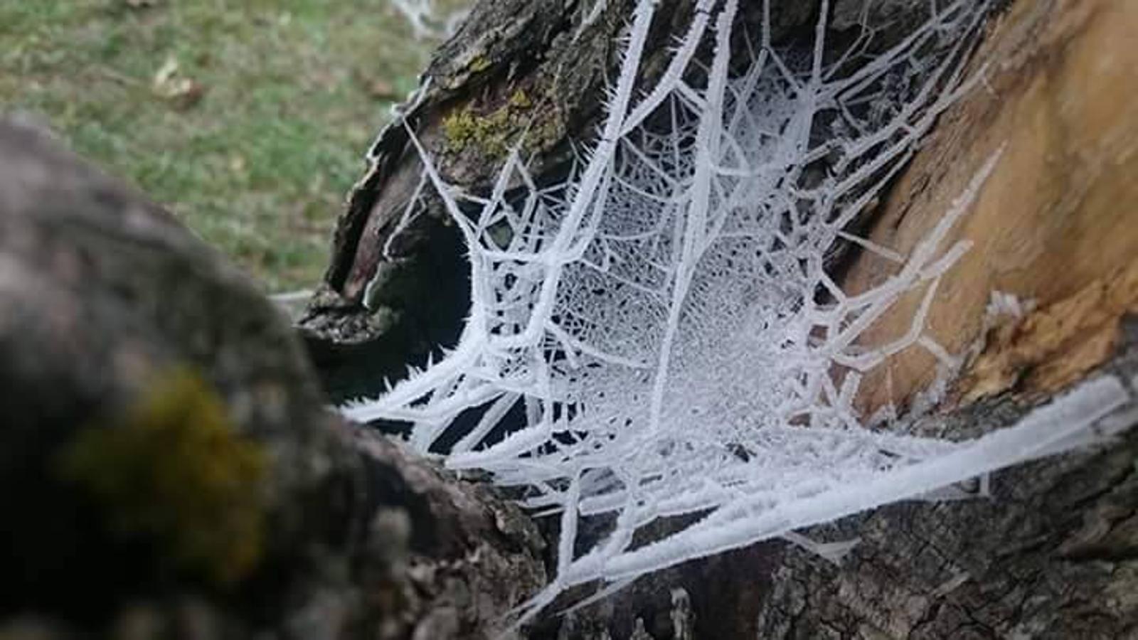 Las imágenes del frío de los lectores