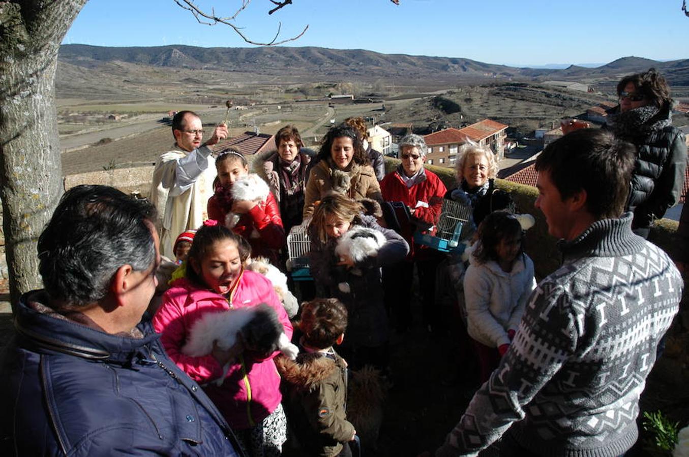 Grávalos festeja San Antón