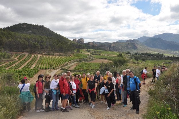 Alta tensión en un paseo entre viñedos