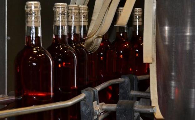 Una cooperativa sin miedo a mirar al futuro