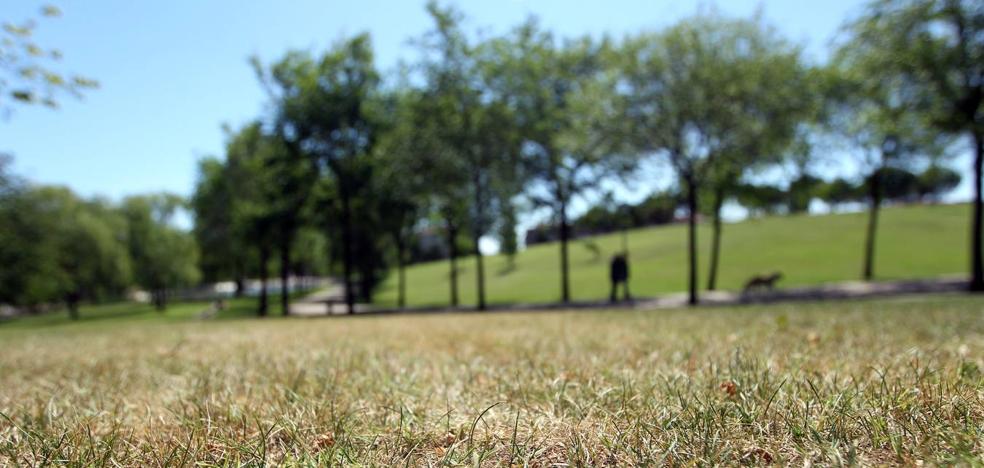 La sequía obliga a reducir días de riego en los parques y jardines de Logroño