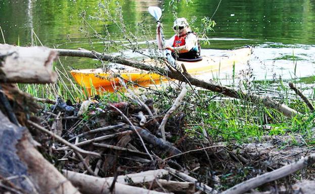 El PSOE critica la «dejadez» del PP en el cuidado del entorno del Ebro