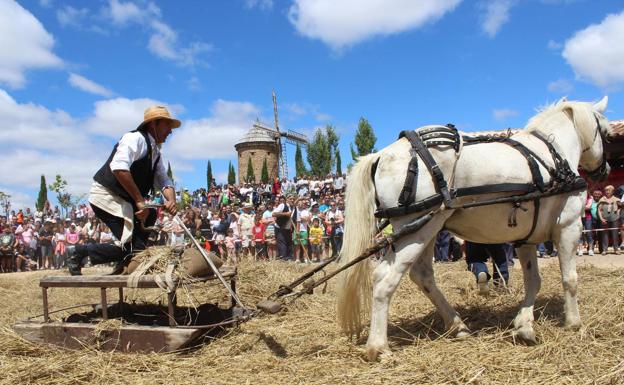 Domingo de siega y trilla