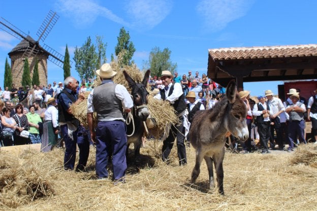 A la molienda, como antaño