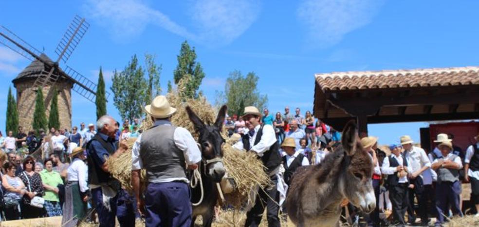 A la molienda, como antaño