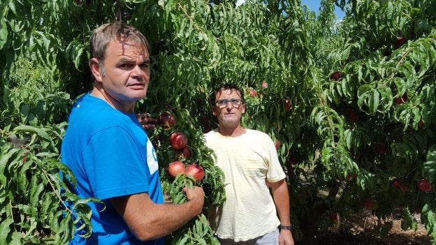 Cultivar para perder dinero