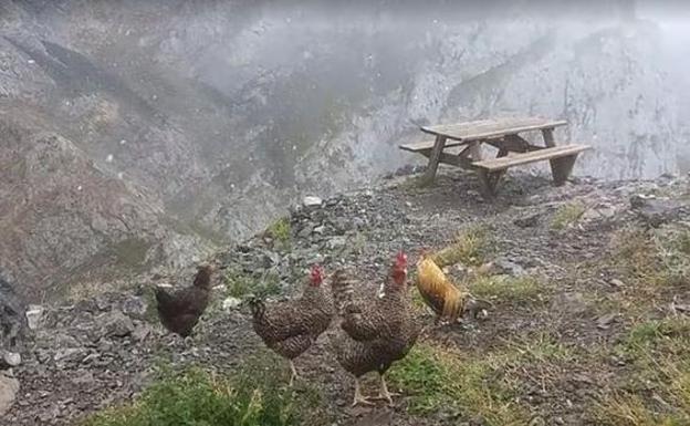 Cuando el tiempo da un 'susto' y en León nieva en agosto