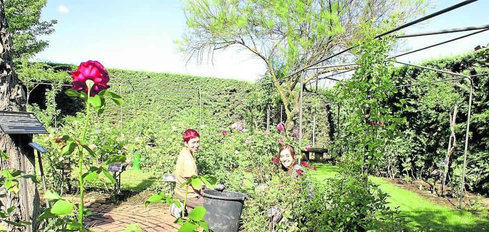 La naturaleza verde se muestra en su esplendor