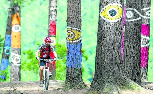 El bosque te atrapa con su mirada