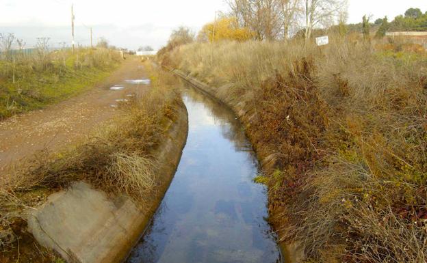 Los regantes denuncian «presas ilegales» que desvían el agua de riego