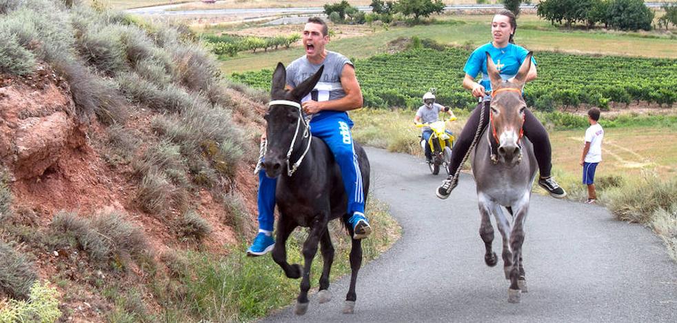 Tricio vivirá hoy su carrera de burros