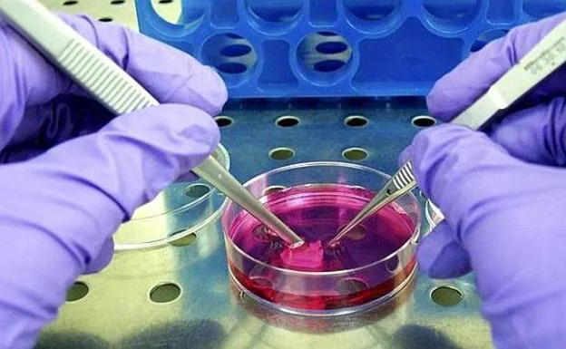 EE UU aprueba la primera terapia génica contra el cáncer