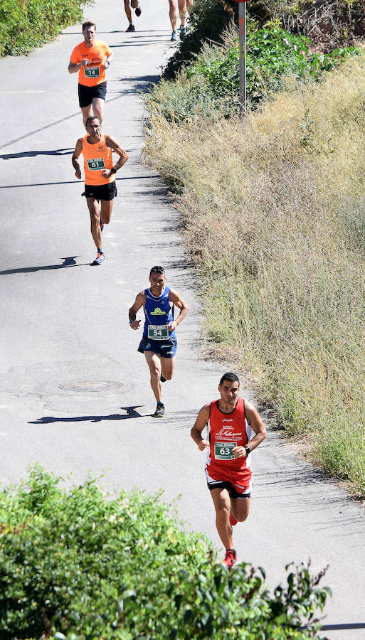 III Legua de Navarrete