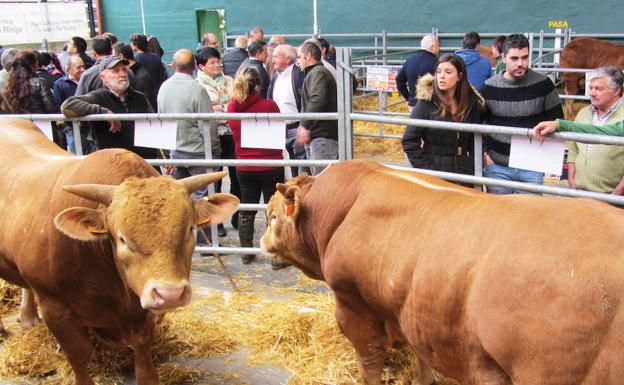 La Feria Ganadera de Villoslada reúne 2.285 animales