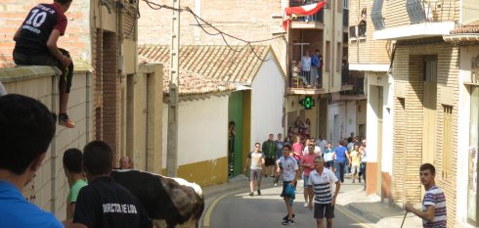 La Virgen del Burgo se viste de flores