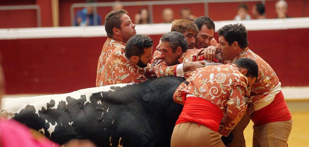 Los forçados portugueses se lucen en La Ribera