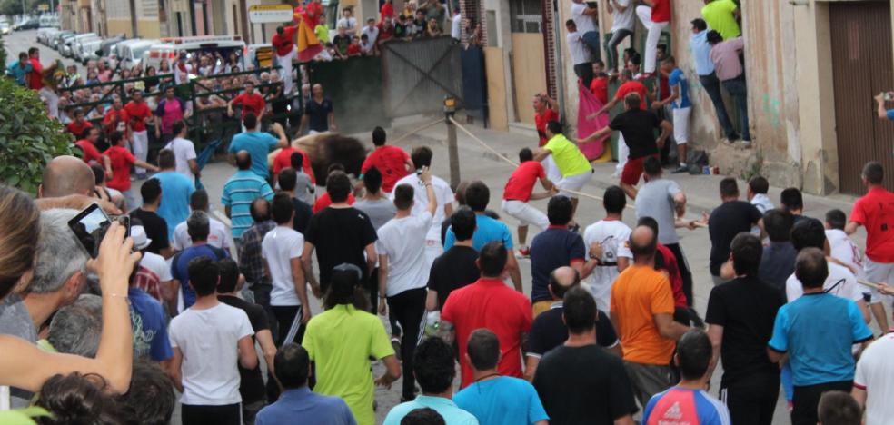 Manto y collarón para el toro