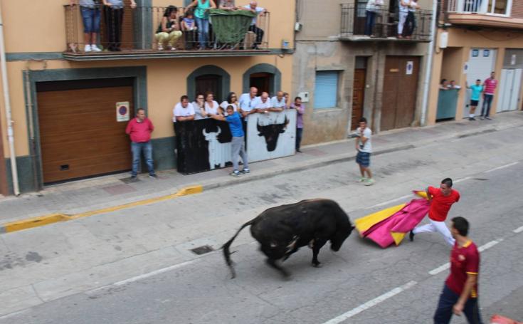 Toro de San Miguel en Rincón