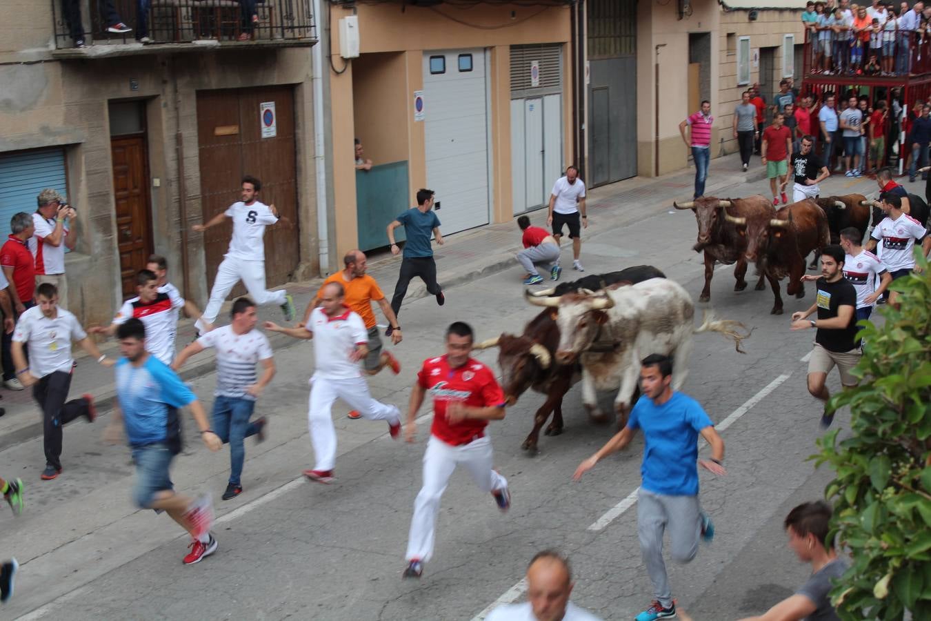 Toro de San Miguel en Rincón