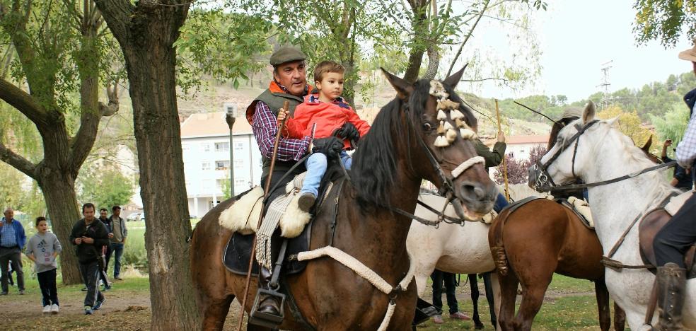 La trashumancia gustó mucho a los visitantes de las Ferias de San Miguel de Nájera