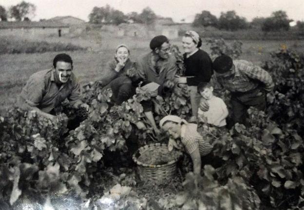 La Retina: vendimia de antaño en Azofra