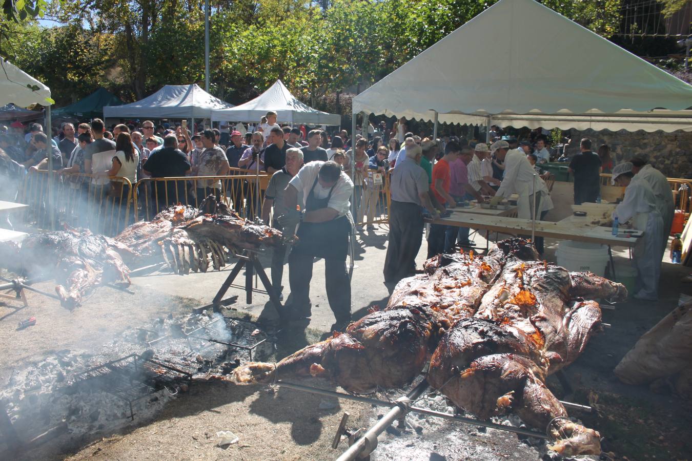 XVIII Jornada de la Ternera Asada de Enciso