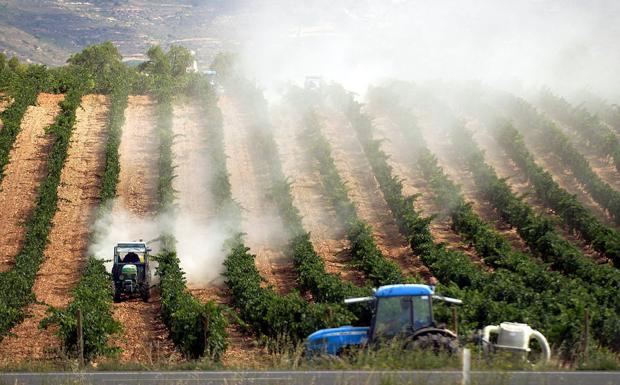 El debate del glifosato