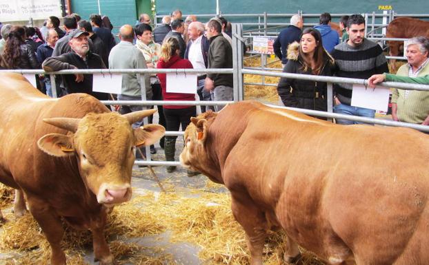 Subvenciones para la compra de animales dedicados a la mejora genética