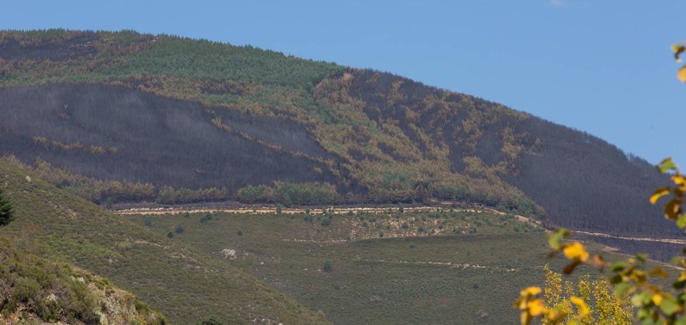 Un incendio que deja al valle en ascuas