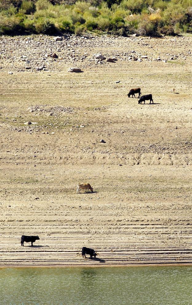 Cada 5 años se pierde en fugas agua como para llenar Pajares