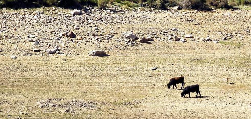 Cada 5 años se pierde en fugas agua como para llenar Pajares