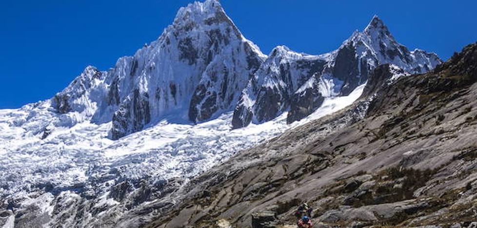 Un pisco en la cordillera de los Andes