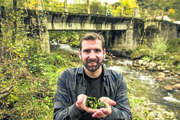 El pequeño secreto de la sierra de Cebollera