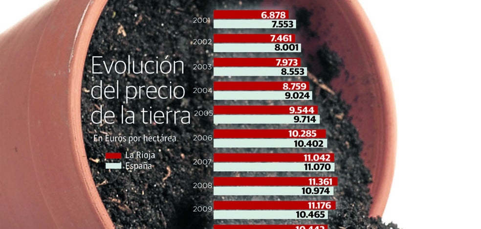 El proceso de nuevas plantaciones de vid lleva a máximos el precio medio de la tierra