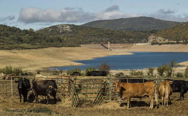 Los embalses riojanos se sitúan en el 16 por ciento de su capacidad