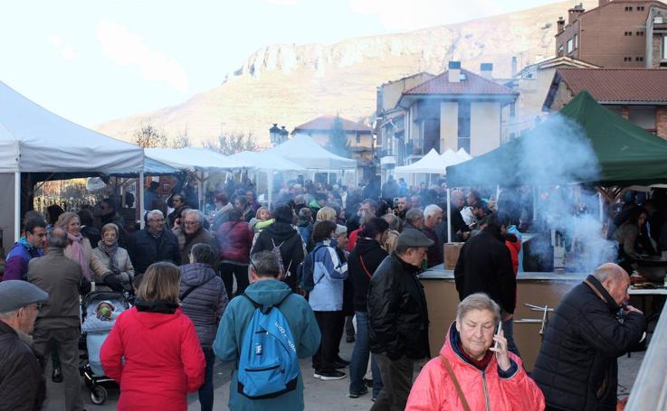 Festival de la alubia de Anguiano