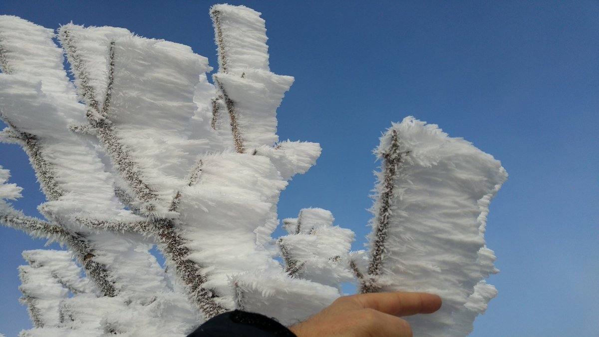 Espectacular cencellada en el límite entre La Rioja y Soria
