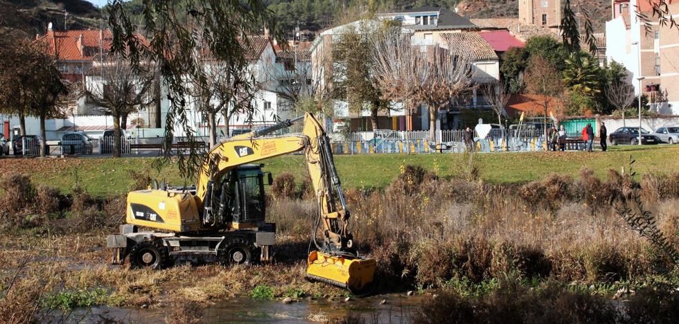 Desbroce en el lecho del río