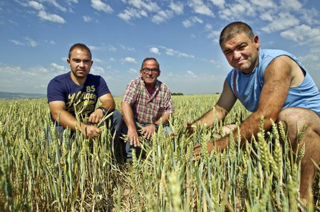 El Congreso corrige al Gobierno e incluye a La Rioja en las medidas contra la sequía