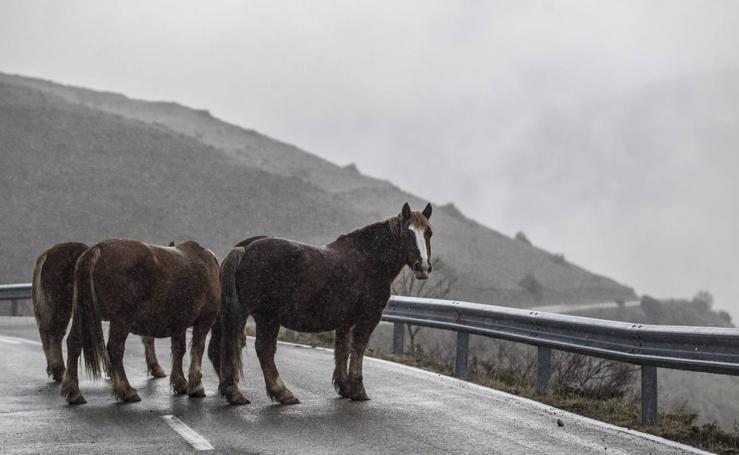 El frío se instala en La Rioja