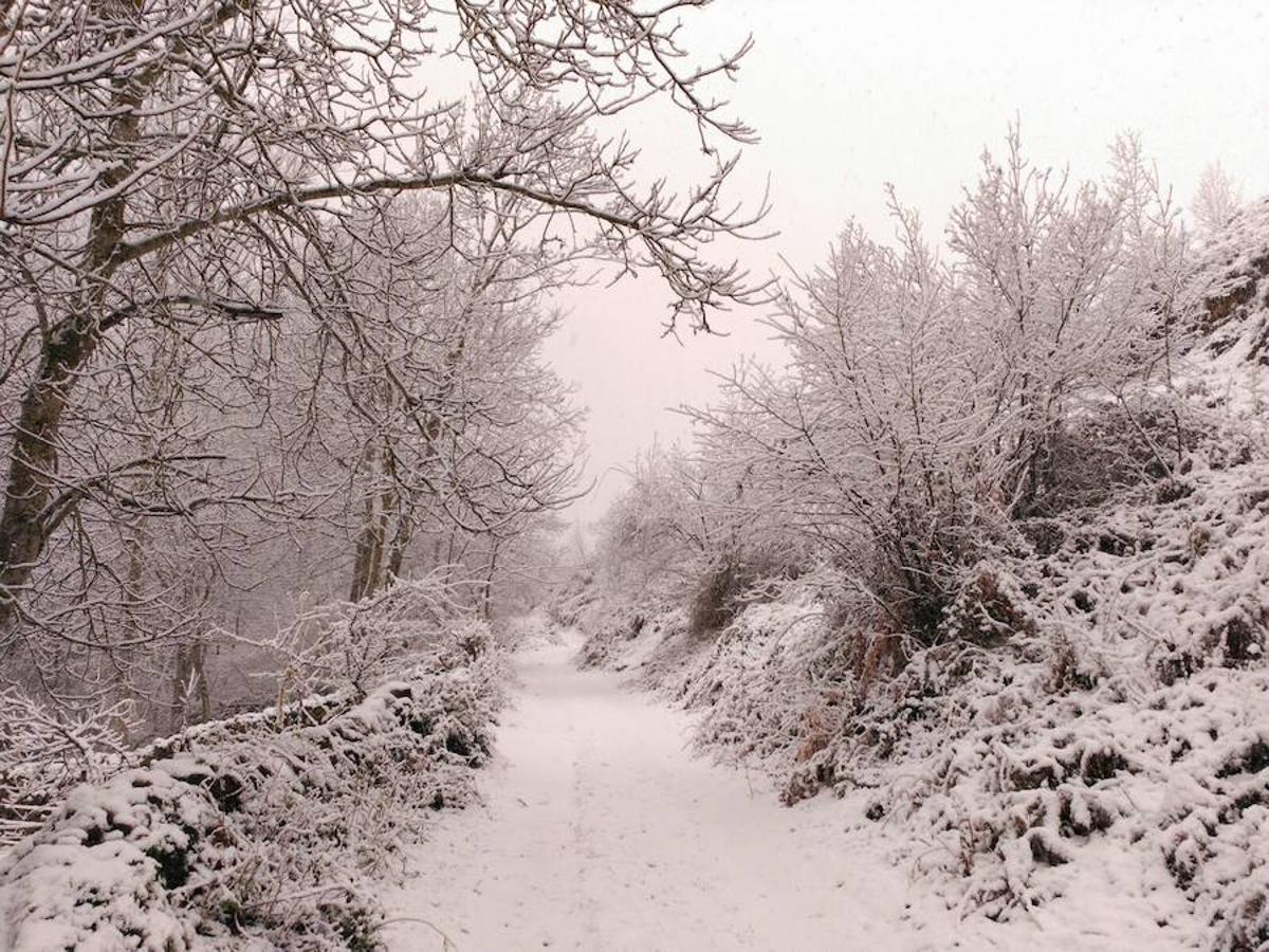 Temporal de nieve en La Rioja (II)