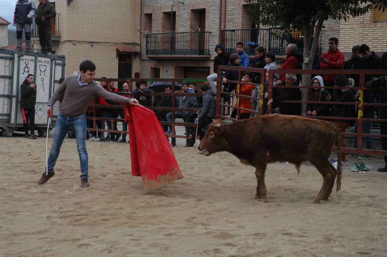Festejo taurino en Rincón de Olivedo