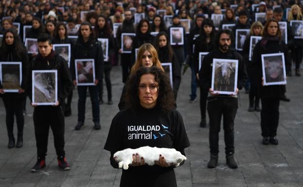 El maltrato animal ya no queda impune