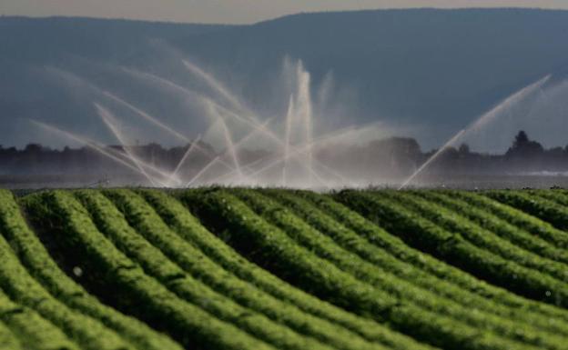 Agricultura invertirá 8,6 millones en el proyecto de transformación en regadío de 'La Llana' en Huércanos