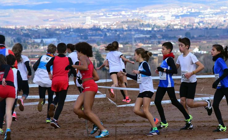 Campeonato de La Rioja de Cross Corto