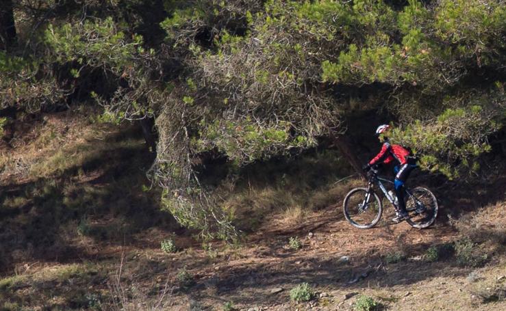 Carrera del Pavo de mountain bike