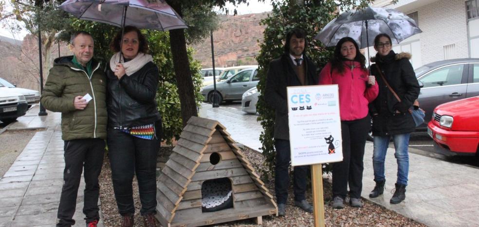 Un cascabel en la colonia de gatos