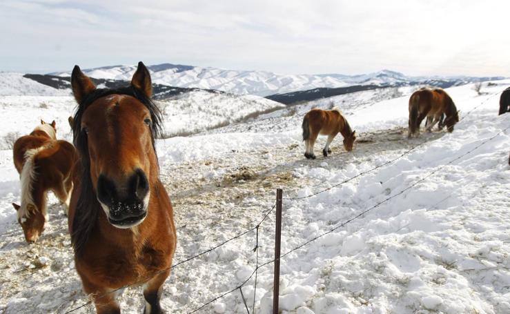 La vida en Santa Marina bajo la nieve